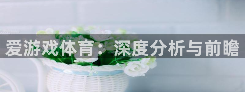 赢咖娱乐平台注册开户：爱游戏体育：深度分析与前瞻