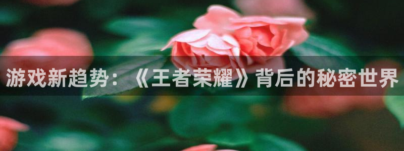 赢咖娱乐平台官方网站：游戏新趋势：《王者荣耀》背后的秘密世界