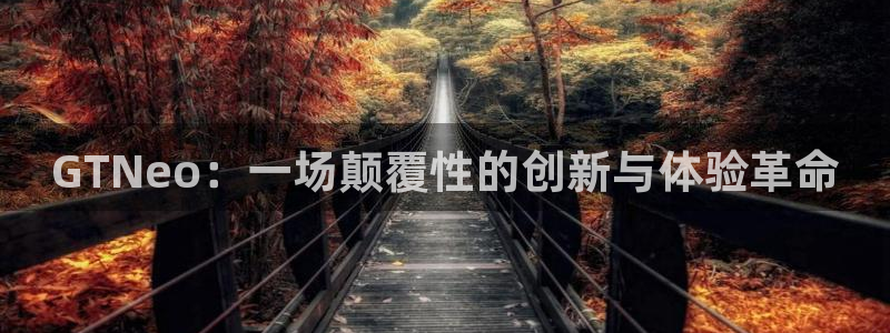 赢咖娱乐4招商：GTNeo：一场颠覆性的创新与体验革命