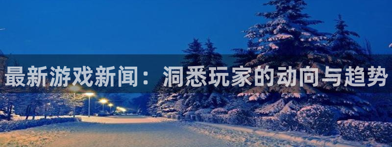 赢咖娱乐网址官网：最新游戏新闻：洞悉玩家的动向与趋势