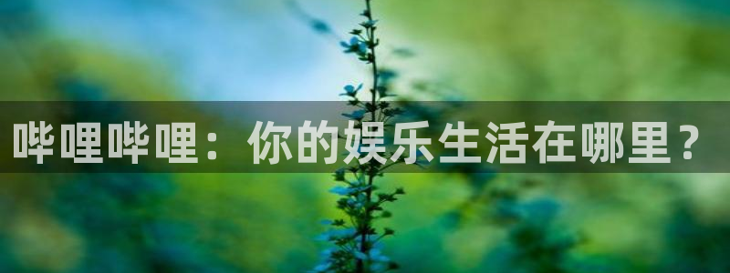 沐春赢咖娱乐：哔哩哔哩：你的娱乐生活在哪里？