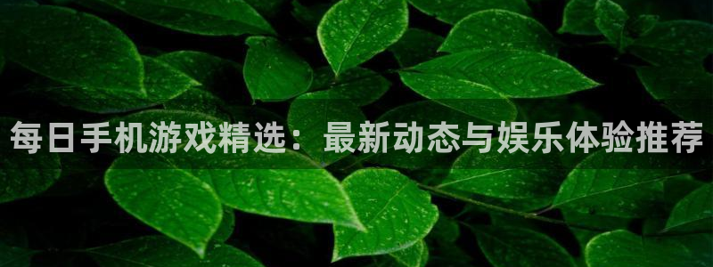 赢咖娱乐Ii：每日手机游戏精选：最新动态与娱乐体验推荐