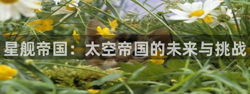 赢咖娱乐在线登录：星舰帝国：太空帝国的未来与挑战